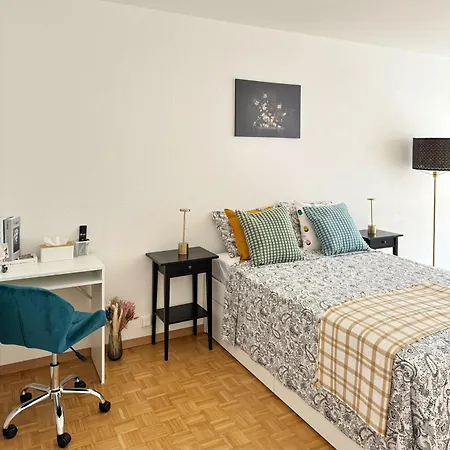 Modernite Et Confort A Geneve Exterior photo