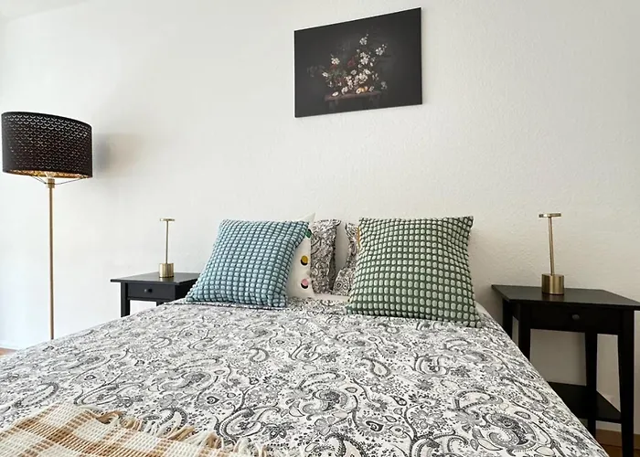 Modernite Et Confort A Geneve